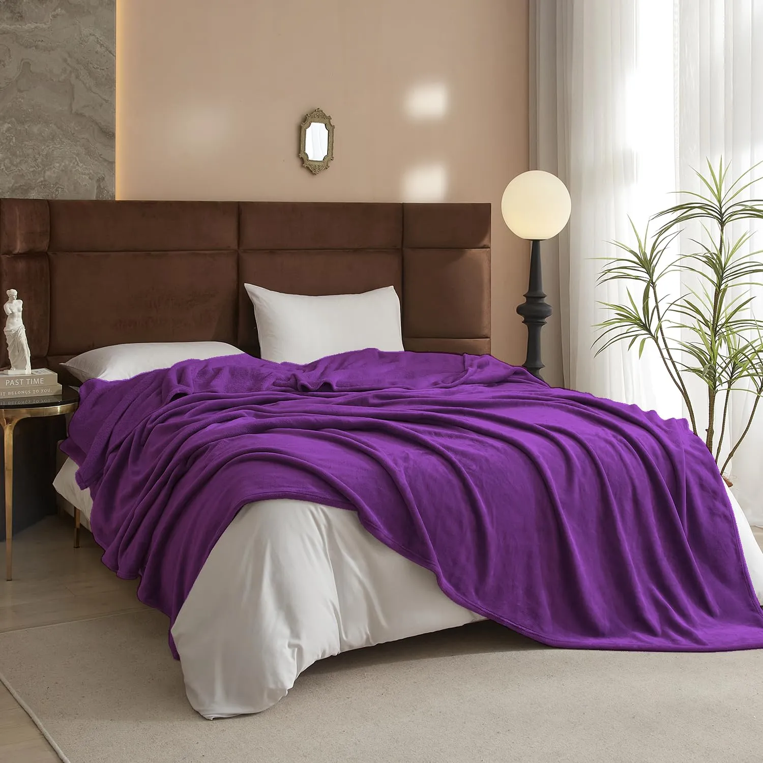 Silk Touch Fleece Blanket - 350 GSM Cozy | Anti-Static Microfiber | Couch & Bed Throw