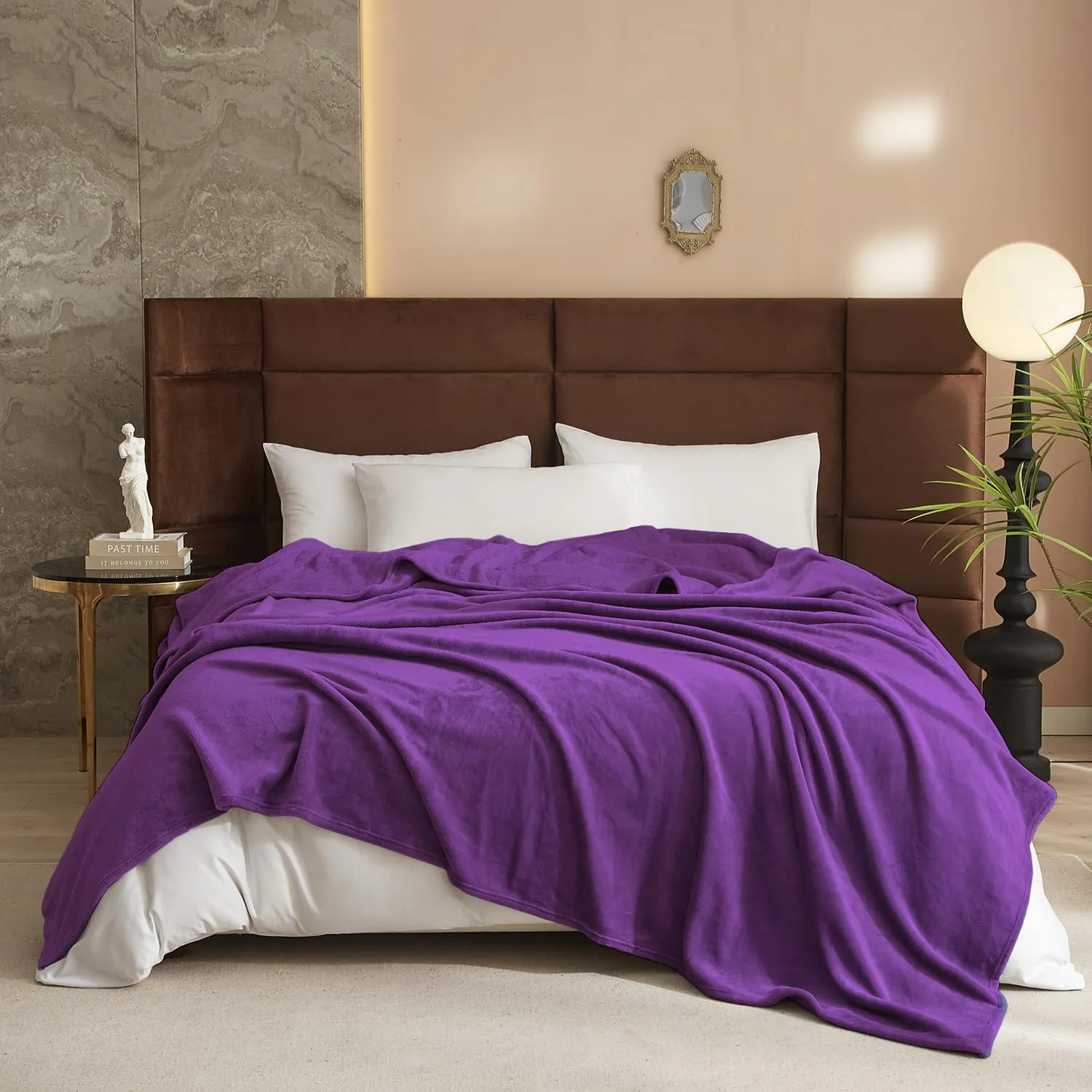 Silk Touch Fleece Blanket - 350 GSM Cozy | Anti-Static Microfiber | Couch & Bed Throw